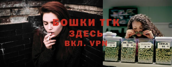 крисы Новокубанск
