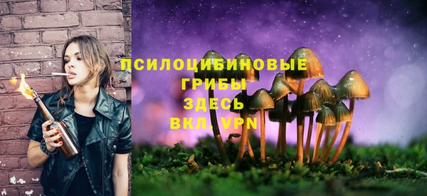 герыч Новодвинск