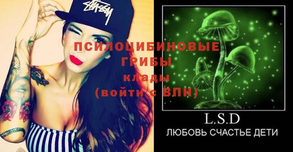 крисы Новокубанск