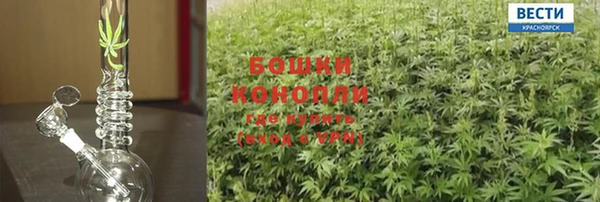 крисы Новокубанск