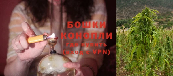 крисы Новокубанск