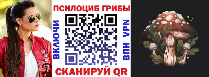 Галлюциногенные грибы Psilocybine cubensis  Бакал 